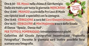 Festa d'la Fümm - Goido | Mede 2024 - Immagine: 2