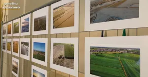 Chiesa di Santa Maria di Castello - Valle Lomellina - Immagine: 3