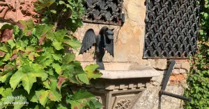 Castello Visconteo - Sartirana Lomellina - Immagine: 2