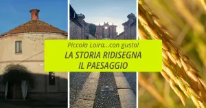 Visita guidata: Colombarone, Gambolò, Degustazione - Vigevano Promotions 2024 - Immagine: 1