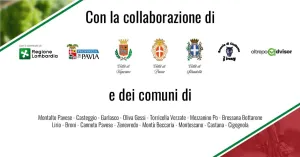 Freccia dei Vini: Vigevano - Pavia - Stradella 2022 - Immagine: 2