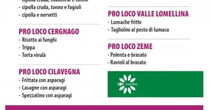 Sagra della Lomellina 2023 - Breme - Immagine: 6