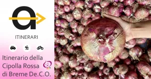 Itinerario della Cipolla Rossa di Breme De.C.O. - Immagine: 1