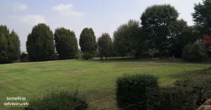 Castello di Frascarolo - Immagine: 3