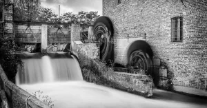 Visite Guidate in Lomellina - Immagine: 2