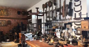 Il Museo del Contadino di Frascarolo - Immagine: 2