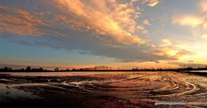 Garzaia di Sant'Alessandro - Immagine: 1