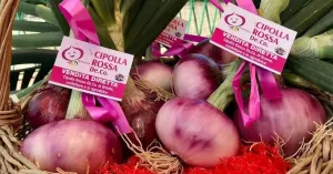 Cipolla Rossa di Breme - Immagine: 2