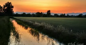 Lomellina terra di risaie - Immagine: 3