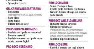 Sagra della Lomellina - Breme 2024 - Immagine: 5