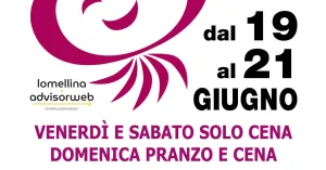 44ma Sagra della Cipolla Rossa di Breme - Giugno 2026 - Immagine: 3