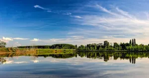 Lomellina terra di risaie - Immagine: 1