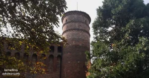 Comune di Frascarolo - Immagine: 2