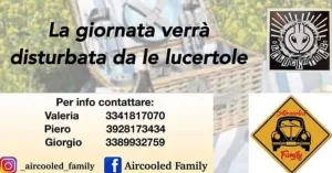 Picnic Aircooled Family - Agosto 2022 Breme - Immagine: 3