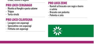 Sagra della Lomellina - Breme 2024 - Immagine: 6