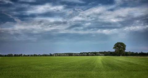 Castello di Cassolnovo