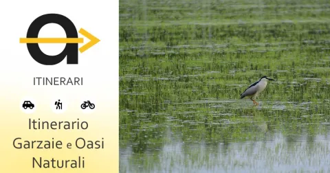 Itinerary of the Heronries and Natural Oases in Lomellina