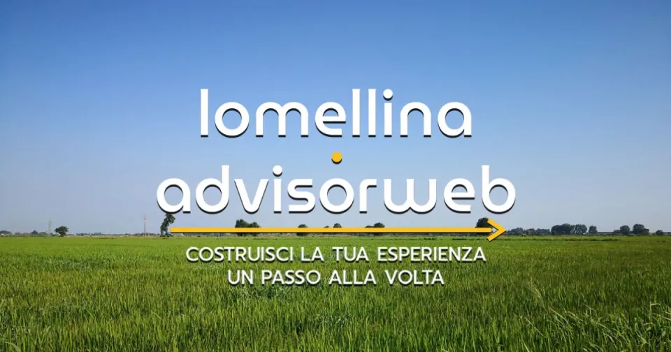  - Immagine: 5